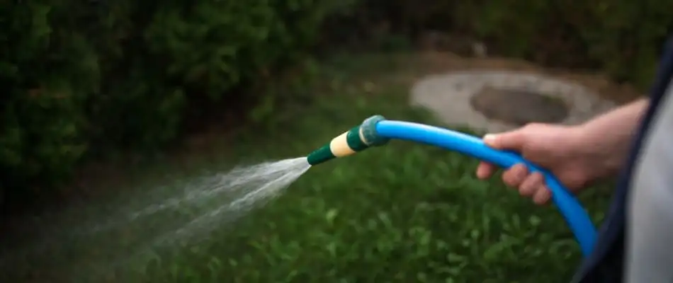 Watering lawn after grub treatment