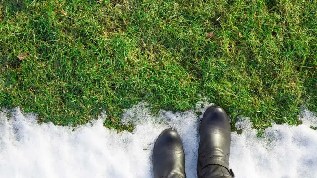 3 Lawn Care Treatments To Rejuvenate Your Lawn After Winter