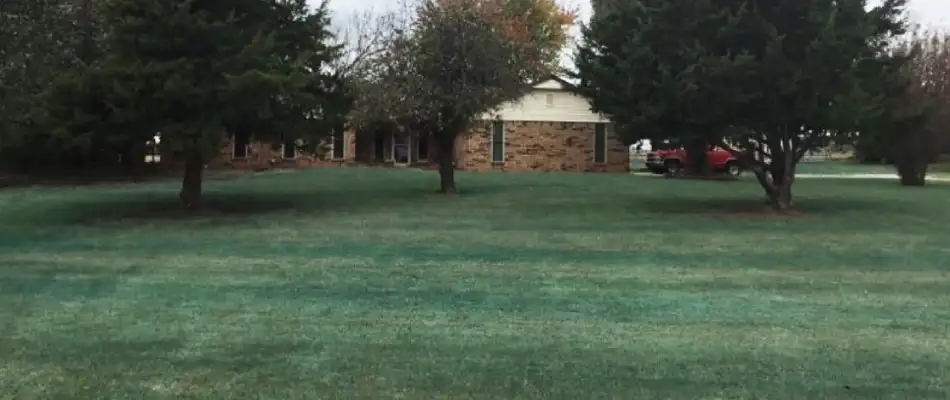 Weed-free lawn after post-emergent weed control services