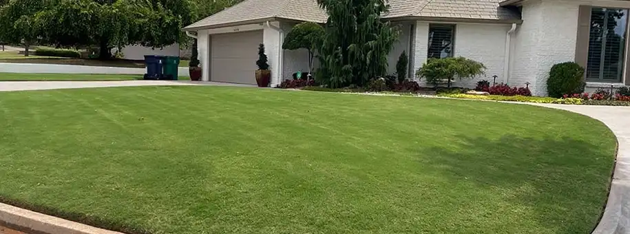 Sod Vs. Seed In OKC And Northwest Arkansas