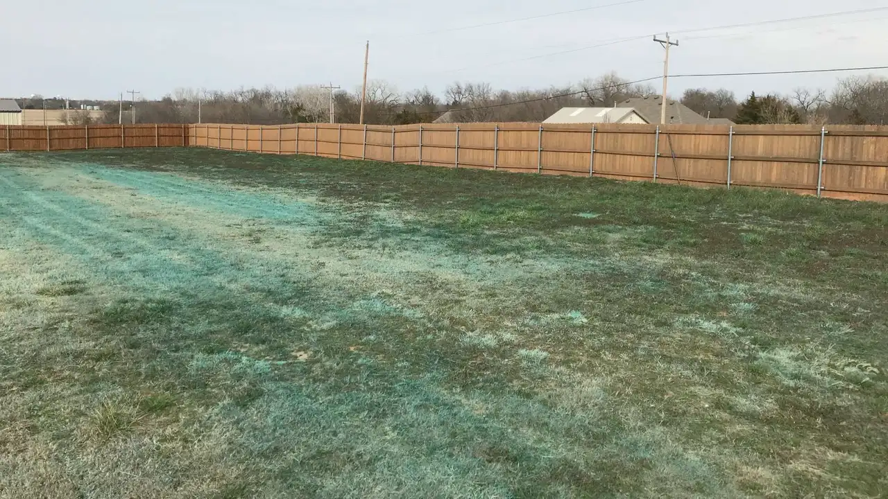 Pre-Emergent Weed Control: Stop Weeds Before They Start