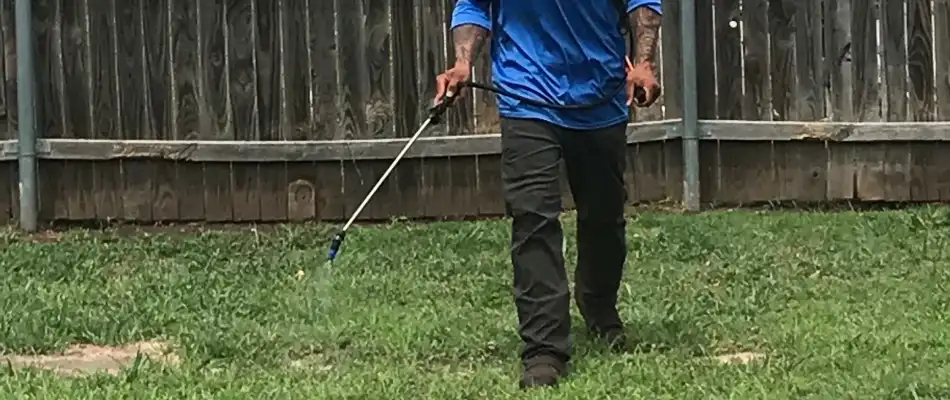 Elite professional applying post-emergent weed control
