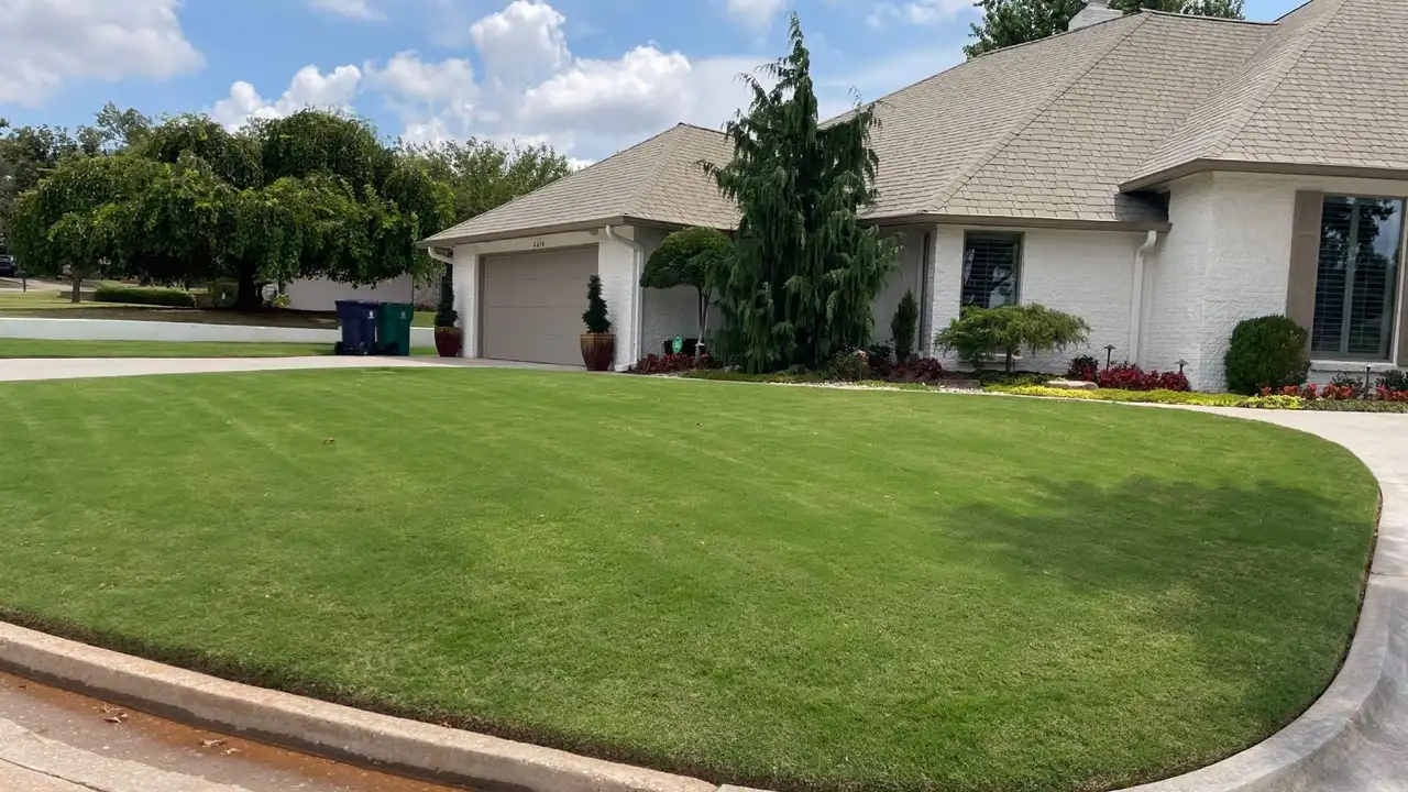 Lawn Fertilizer & Weed Control: The Perfect Pairing