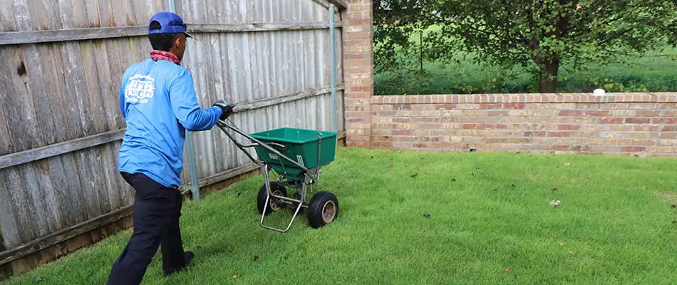 Elite Lawn Care overseeding and lawn treatment service
