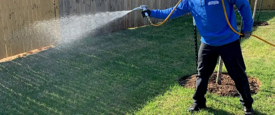 Elite professional applying pest control treatment to lawn