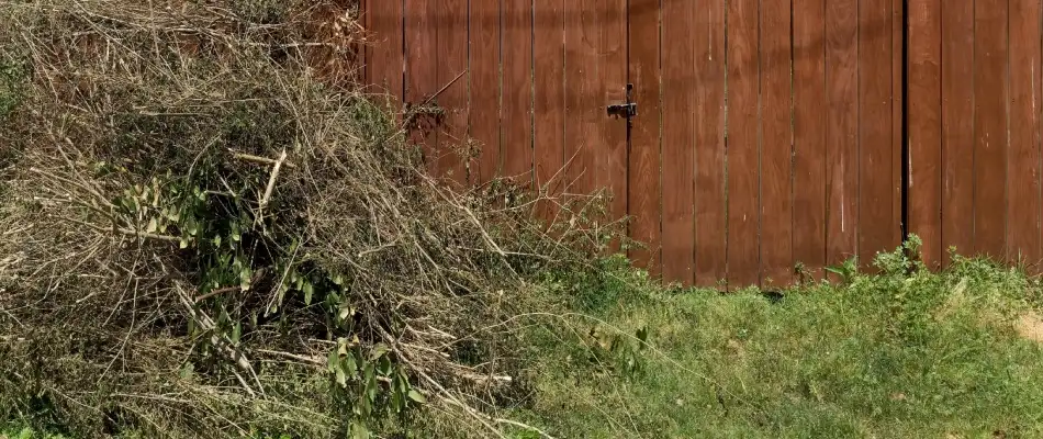 Pile of debris in lawn