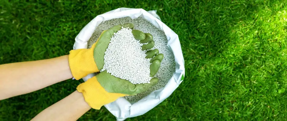 White granular nitrogen pellets for fertilizer