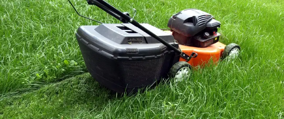 Push mower cutting tall grass lawn