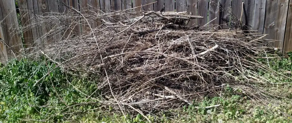 Pile of debris found in lawn by fence