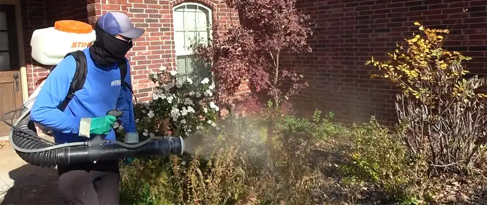 Mosquito fog treatment applied to bushes