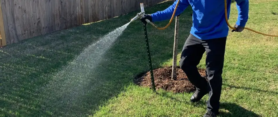 Elite lawn technician applying pest control treatment to lawn