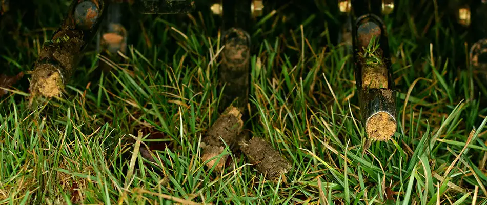 Core aerator in lawn
