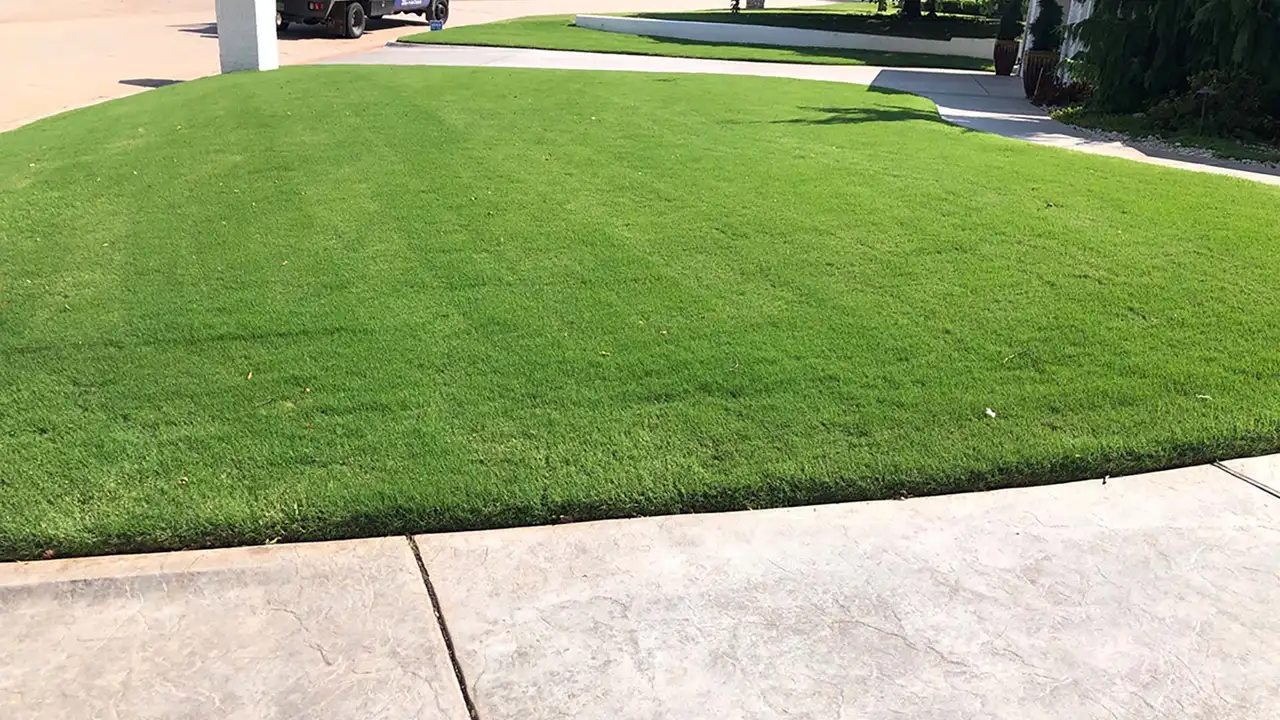 Fertilizing Your Lawn In The Fall Will Help It Recover From The Summer Heat.