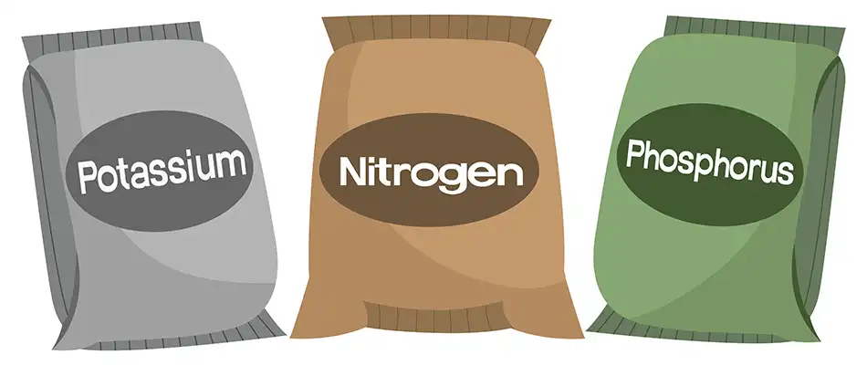 Graphic of nutrients in fertilizer