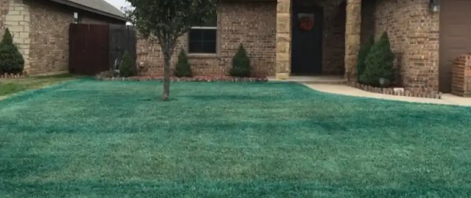 A lawn treated with pre-emergent weed control