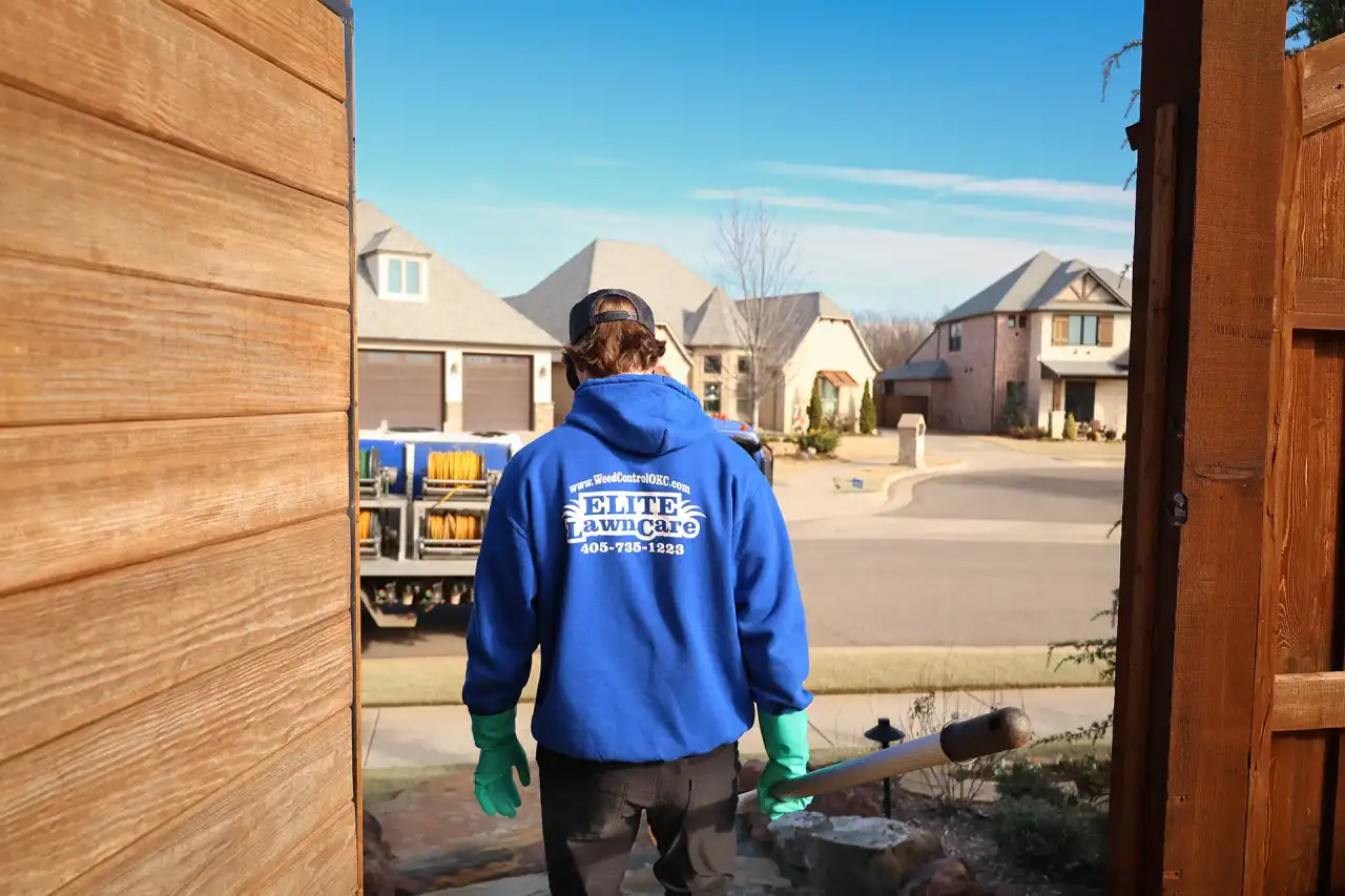 Spring Lawn Care For Oklahoma And Arkansas