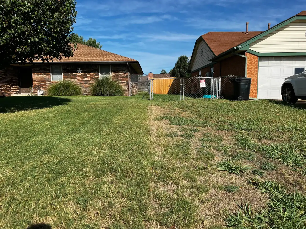 Why Is My Lawn Worse This Year Than Last? 5 Common Causes In OKC And NWA