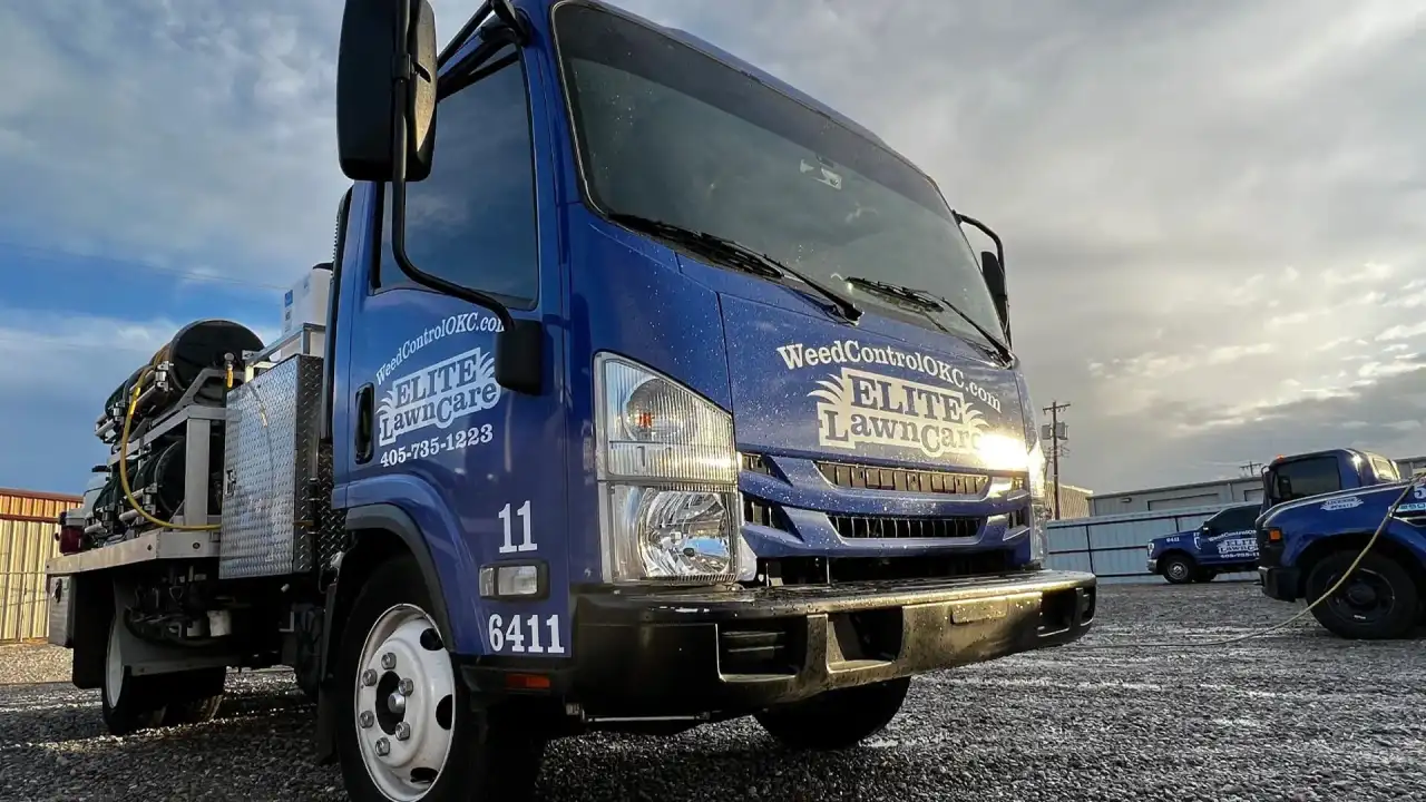 What's Inside The Elite Lawn Care Program?