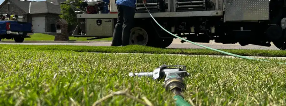 Lawn damage from grub infestation
