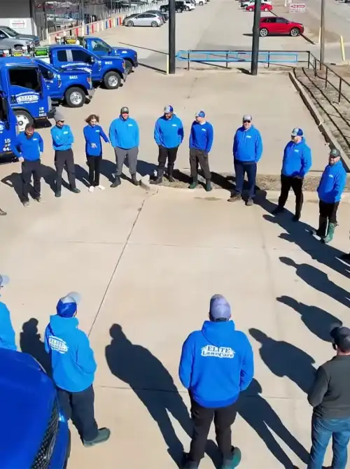 Elite Lawn Care team