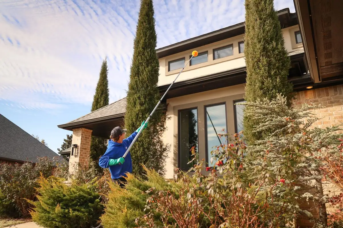 Fall Pest Control: Getting Ahead of the Season in Oklahoma City