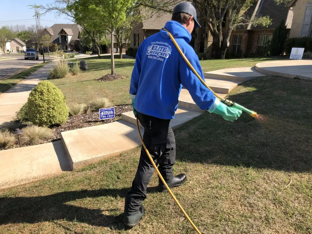 Pre-Emergent vs. Post-Emergent Weed Control: What Is the Difference?