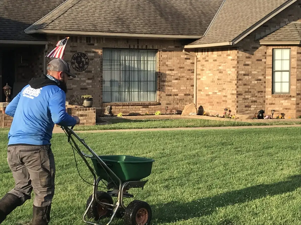 The Most Common Lawn Weeds in Oklahoma and Arkansas, and How to Beat Them
