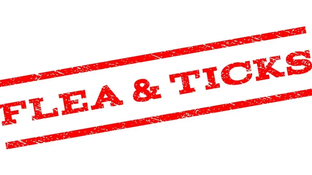 Flea & Tick Control