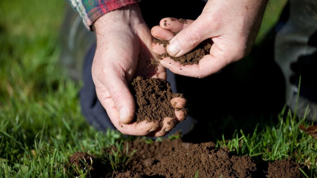 Soil Conditioning