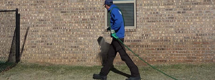 Perimeter Pest Control | Elite Lawn Care